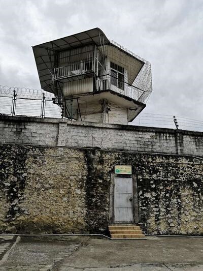 属龙下午5点出生，属龙早上出生的人命怎么样