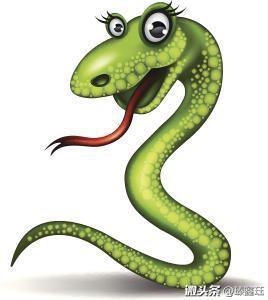 属猪和属蛇谁克谁，属蛇注定的情人