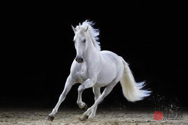 978属马男人一生婚姻运势，一九七八年属马男人婚姻"