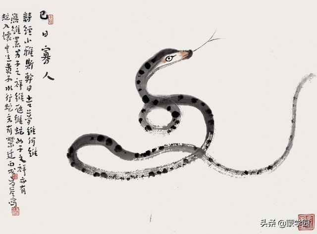 买十二生肖买马的官 ，十二生肖买马图表