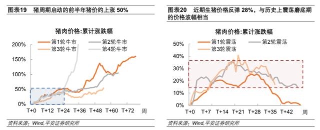 022运势测算，电脑算2022年运势测算"