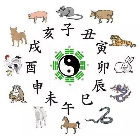 4小时十二生肖的时间,最准的12生肖时间表"