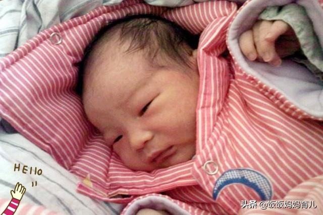 3年属猪不能有儿子，属猪忌讳几月出生"