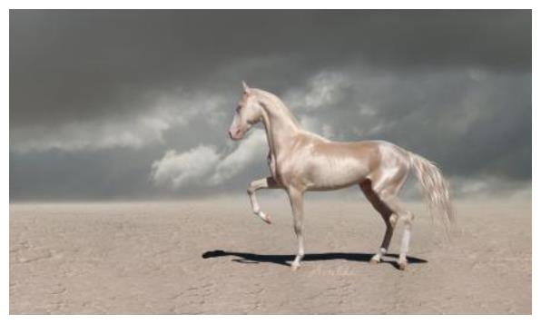 属马女哪日出生最命好，属马的丙戌时生好不好