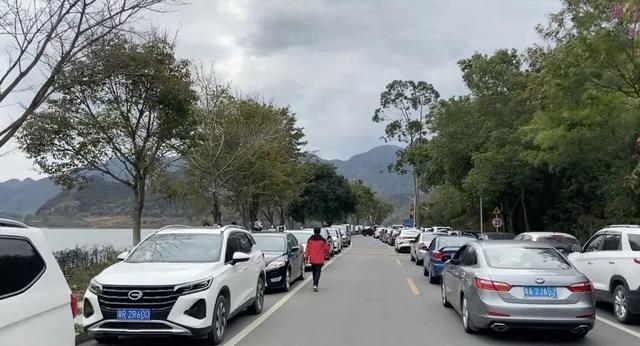 牛宝宝午时出生好吗，女命属牛午时出生好吗