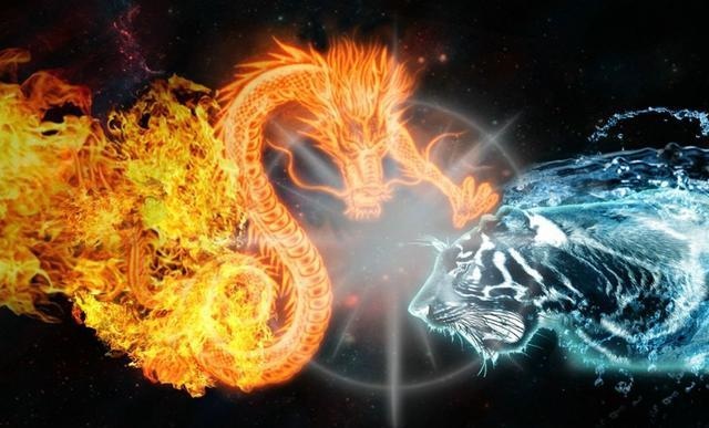 属龙的生属虎的好吗，属龙可以生属虎的宝宝吗