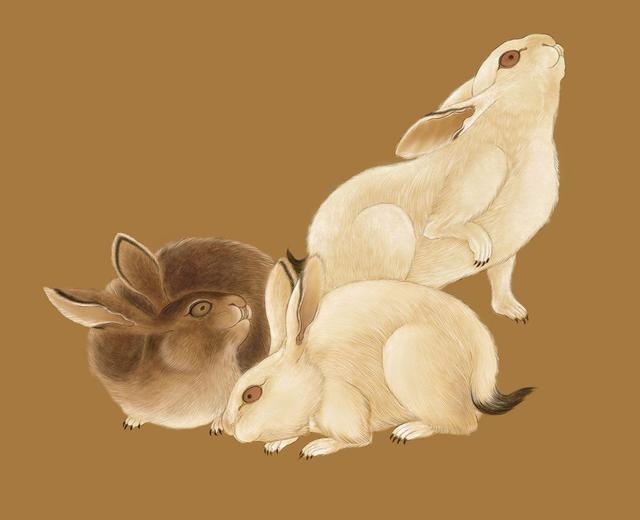 蛇宝宝忌什么属相的父母，蛇宝宝旺什么生肖的父母