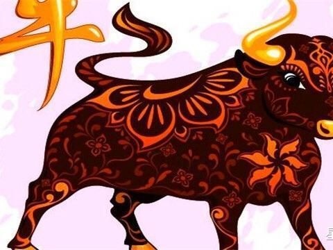 属牛的几月份出生，属猪几月份出生