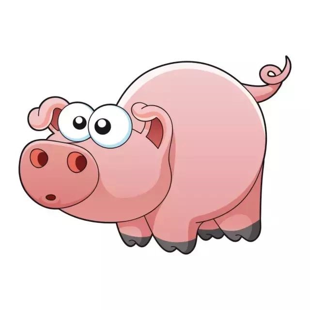 看十二生肖一生的命运，十二生肖一生运程算命