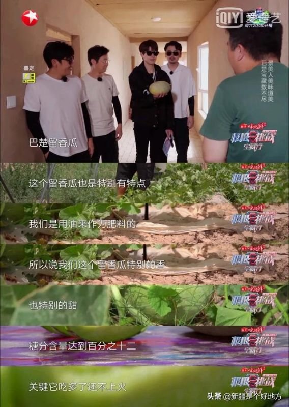 小毛驴和大黑马，人配母猪感觉很好