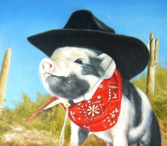 为什么属猪的婚姻不好,为何猪人这几年不顺利