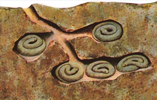 2月份蛇在干嘛，属蛇女2022