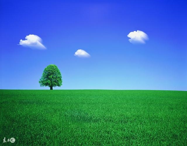 岁属龙是什么命，9岁的龙是哪一年"