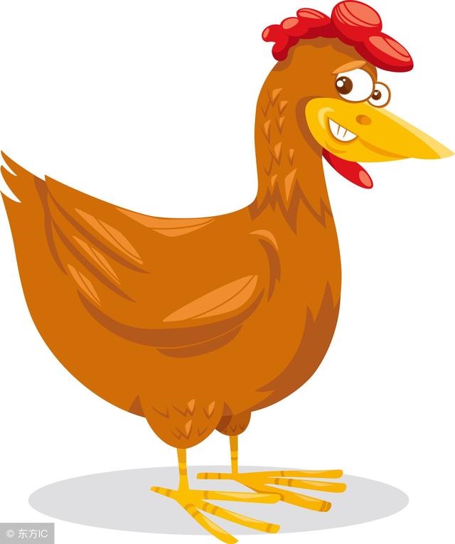 属鸡最忌讳的属相，为啥属鸡的婚姻不顺利