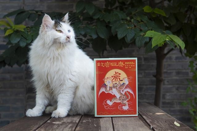 022年十二生肖日历表,2022年万年历"