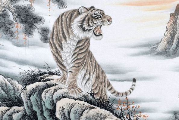 属虎的是什么命，怎么看五行缺什么