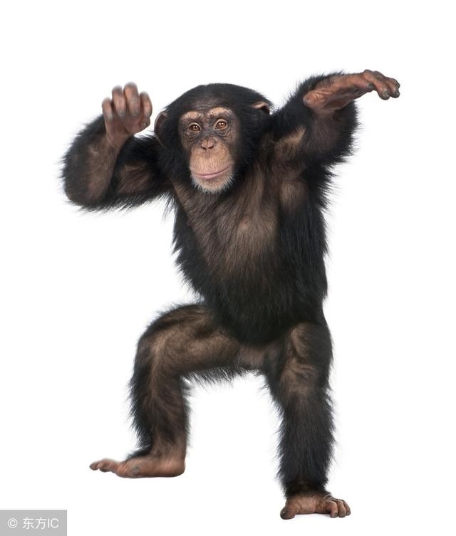 8年属猴后半生婚姻，2022