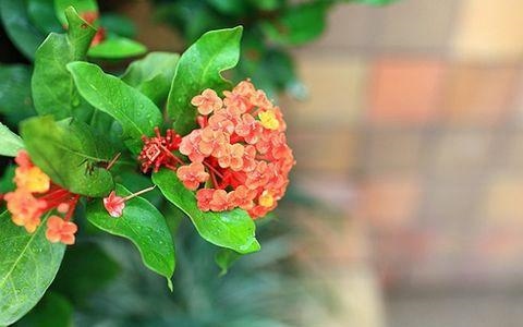 属蛇未来5年运势走向男，属蛇人在2022年全年每月运势