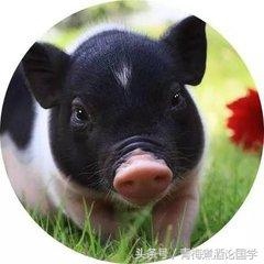 属猴取什么名字比较旺，属猴的人取名字的讲究