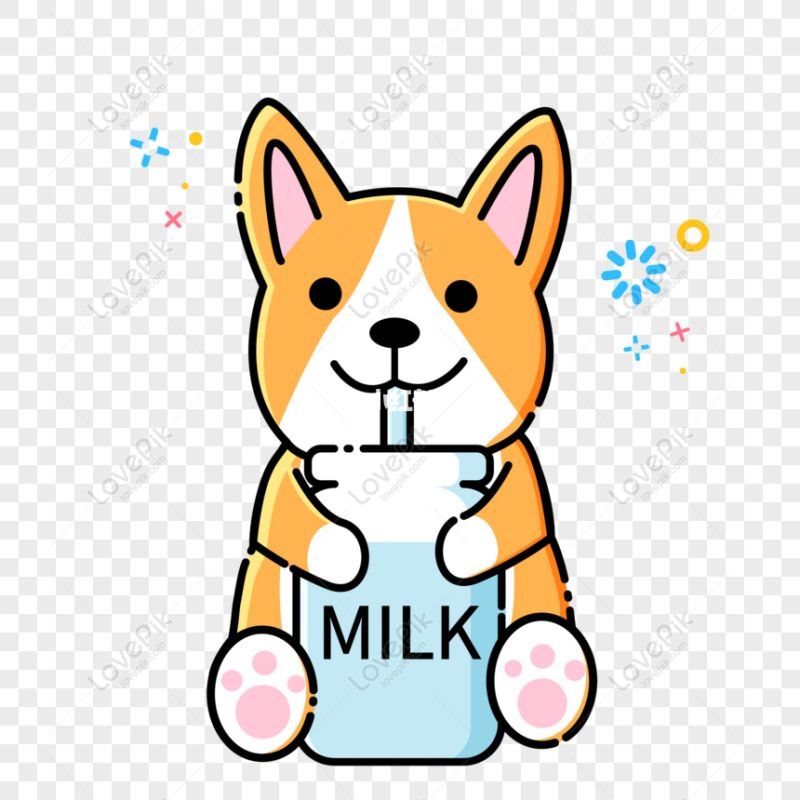 生肖狗运势2022年运程,1982年属狗女2022年运势