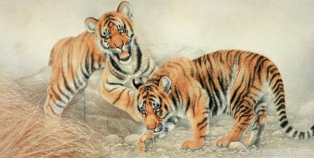 属虎男和什么属相最配，属虎男配什么属相女