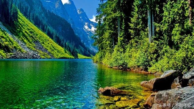 001年属蛇的学业，2001蛇男2022