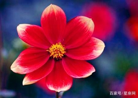 977年属蛇未来5年大运，1977年属蛇人一生运势"