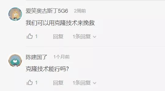 世界动物胶配方视频高清，动物教配方视频高清