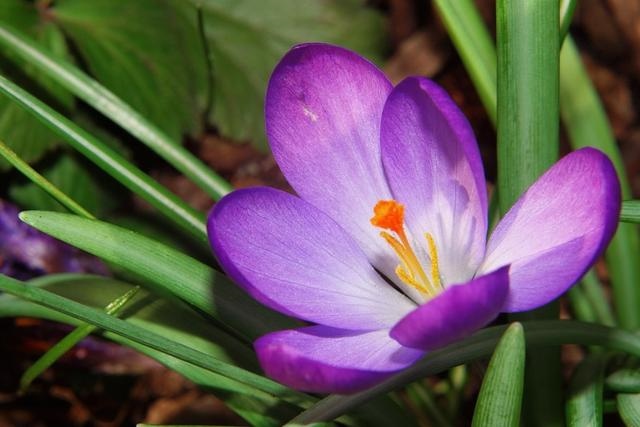 022年婚姻有第三者的生肖女，2022