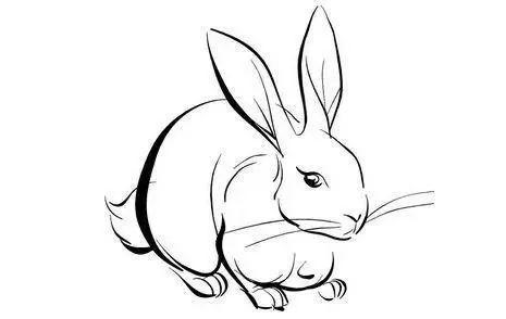 小孩12岁本命年属虎带什么好，2022年属虎本命年