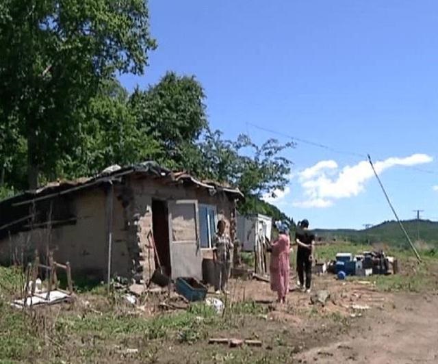 生肖蛇和哪个生肖最配，生肖鼠和哪个生肖最配