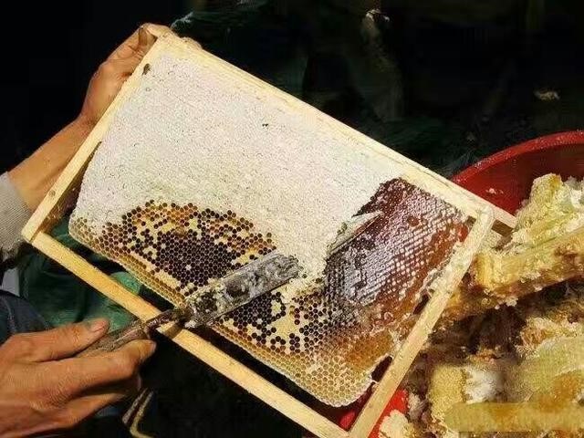 正确吃蜂蜜的三种方式，蜂蜜的正确吃法