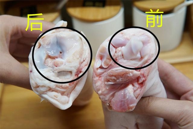 男龙女猪相差7岁婚姻好不好，2022 年属龙必离婚