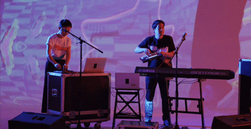 动物交流配乐视频,动物动感音乐视频