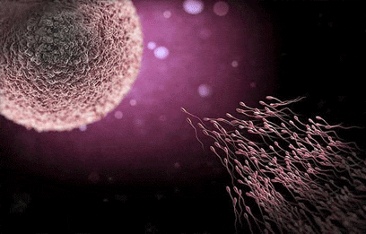 查怀孕是男是女周期表,从月份看怀孕是男是女