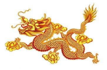 生肖龙一生的财运运势，十二生肖与人生运势