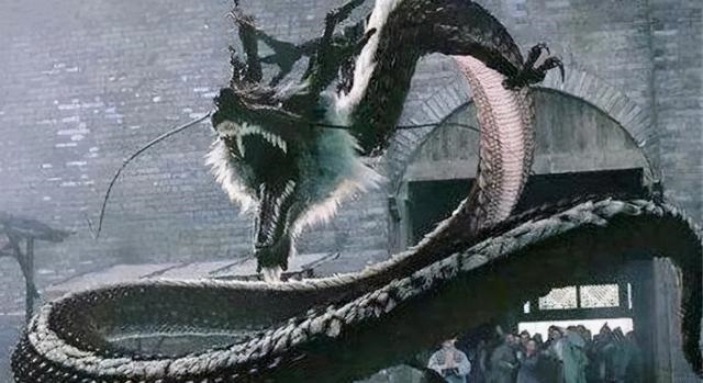 龙怕狗还是狗怕龙，差6岁越充越旺