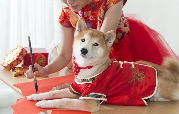 属龙和属牛兄妹相克吗，属牛和属龙的合财吗