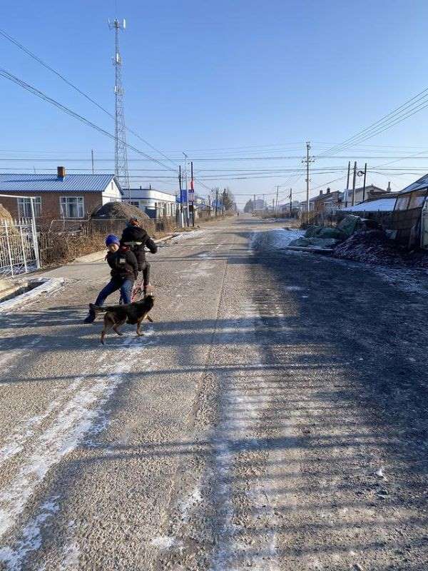 998虎和2000龙好不好,2000龙女与98年虎男"