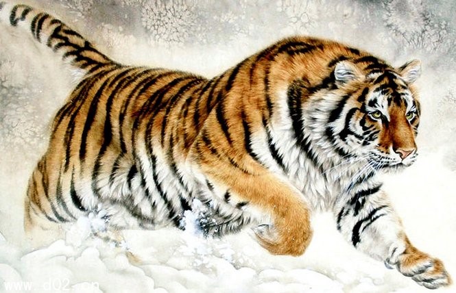 女属龙跟男属虎的相配吗，属龙女跟属虎男婚姻相配吗