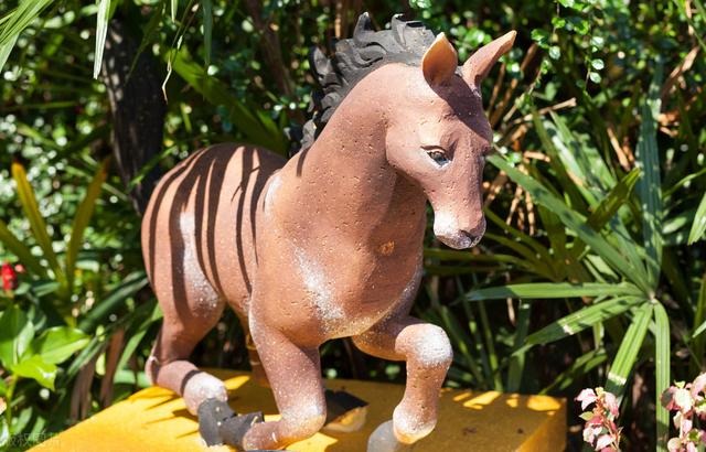 956年属猴女人晚年，属猴人的终身寿命"