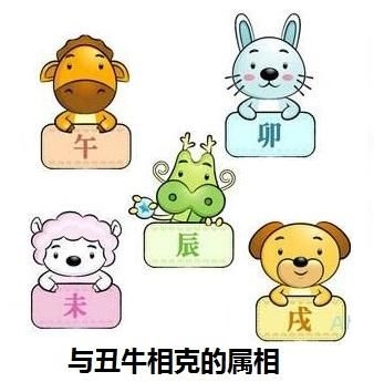 属鼠和哪个属相相克,2022 年属鼠冲父母的