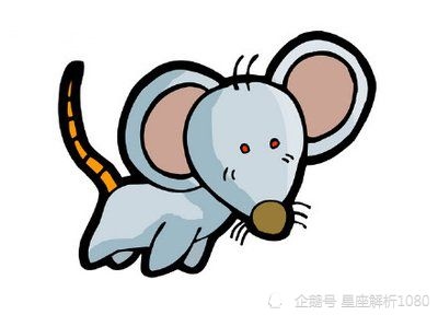 022鼠人运程,72年鼠2022年运势完整版"