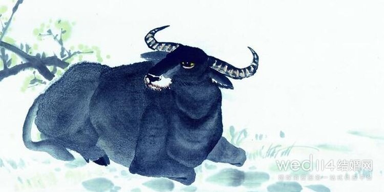 属龙跟牛在一起好不好，牛和龙合得来吗