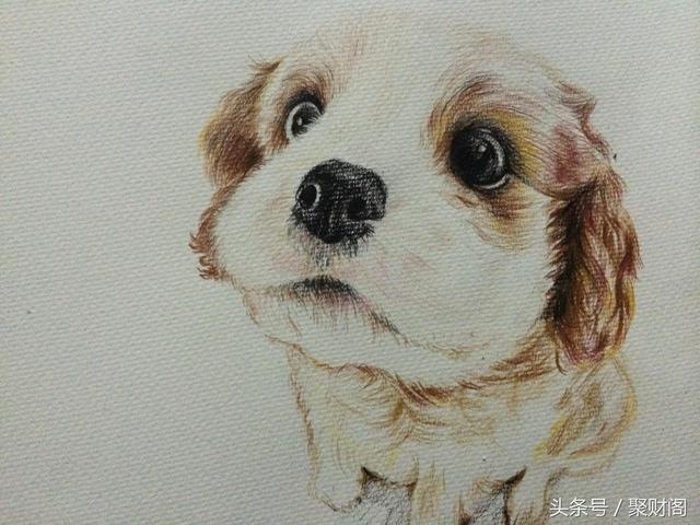 属狗今年运程每月运势，1982年属狗人一生财运