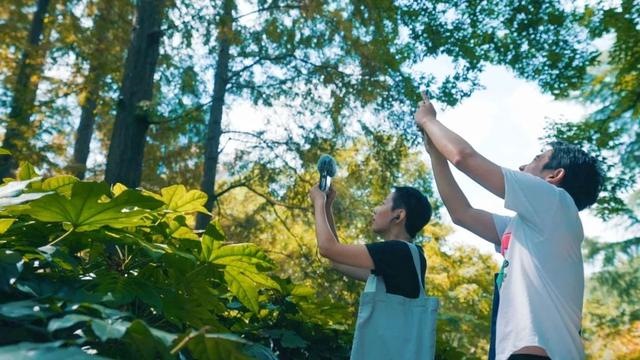 动物交流配乐视频,动物动感音乐视频