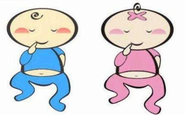 上一胎预知下一胎男女中村改造，女主叫夏姝生了八胞胎小说名叫什么