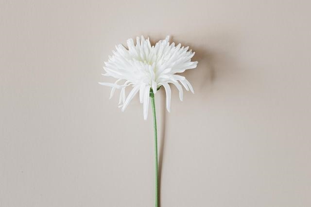 如何查自己是什么命，免费生辰八字五行查询