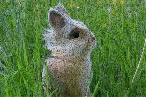 1年属兔人2022年多少岁，1999年2022