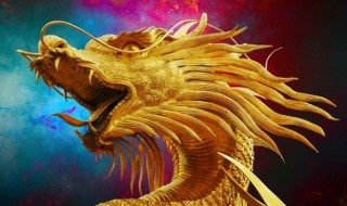 988龙配什么生肖更好，1988生肖龙和什么生肖最配"